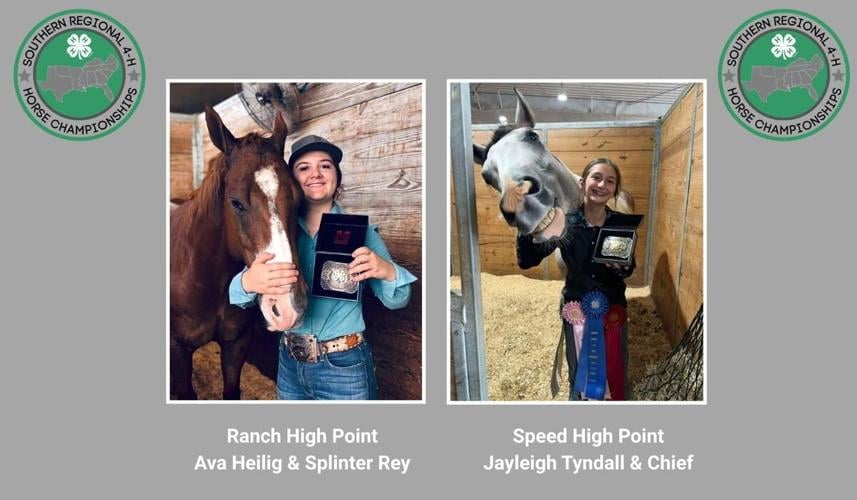 NC 4-H’ers Shine with High Points and Class Wins at the 2026 Southern Regionals