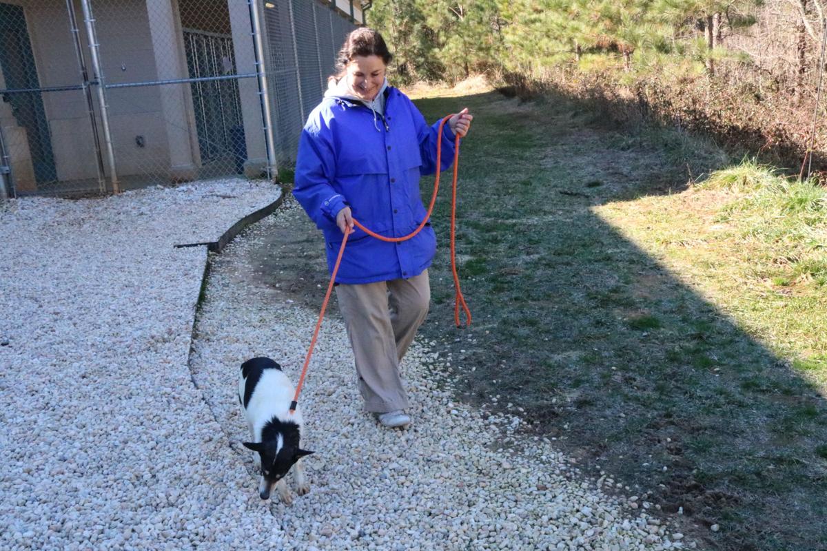 Catawba County shelter sets example for successful, humane animal treatment