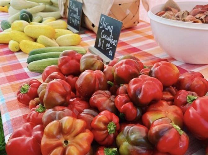 Farmers Markets of Lake Norman