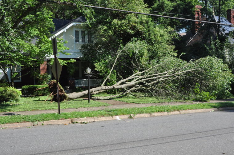 Microburst storm damage | News | morganton.com