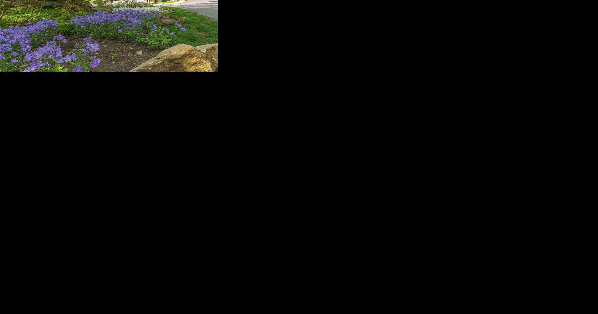 Help Grandfather Mountain's garden grow this Giving Tuesday - Vimarsana News
