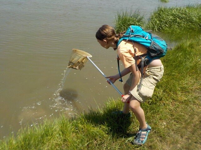Reel in the fun fishing at a Virginia State Park