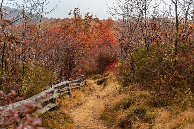 15 Best Hikes in the Blue Ridge Mountains for Fall