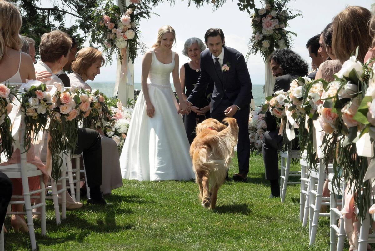 Review Kevin Costner plays a dog in the sappy tearjerker