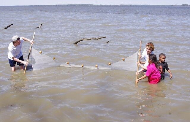 Reel in the fun fishing at a Virginia State Park