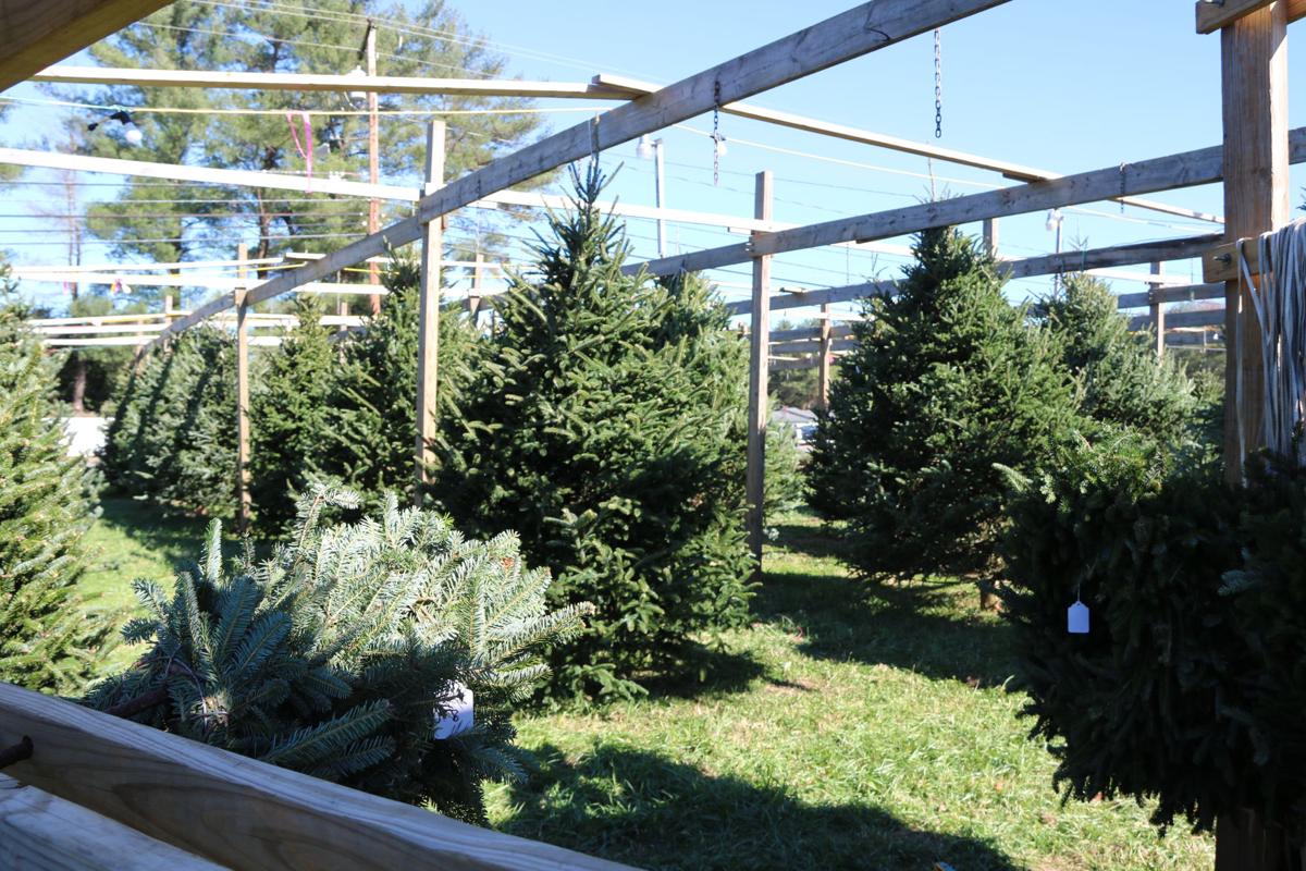 Popular Christmas Tree Lot Prepared For Season Despite Tree Shortage Local News Morganton Com