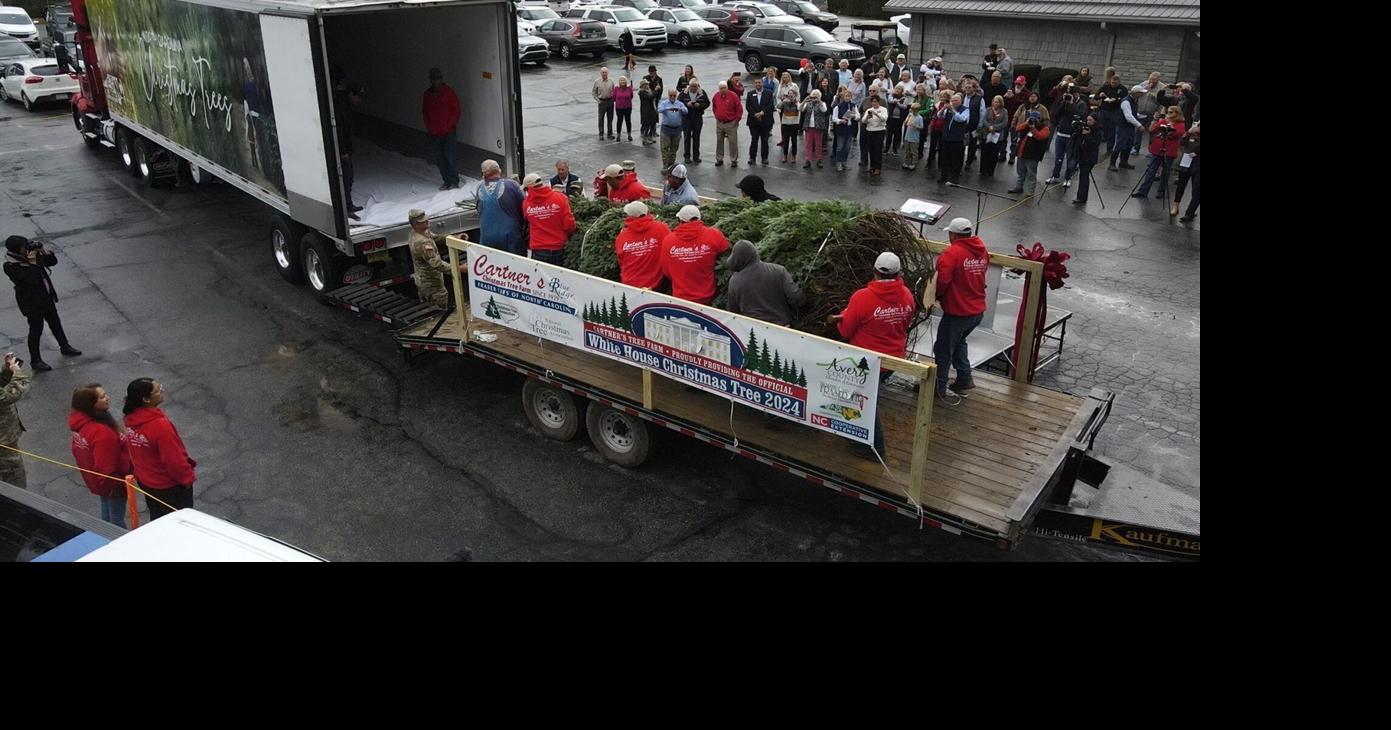 Avery County NC Christmas tree farms recovering from Helene