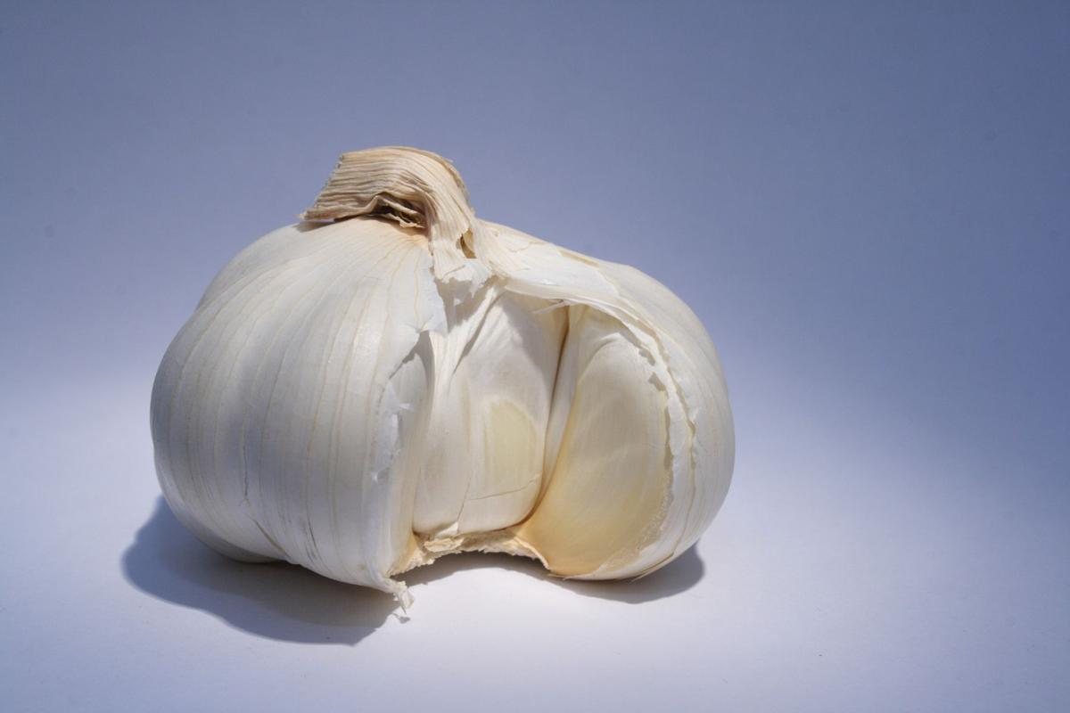 garlic