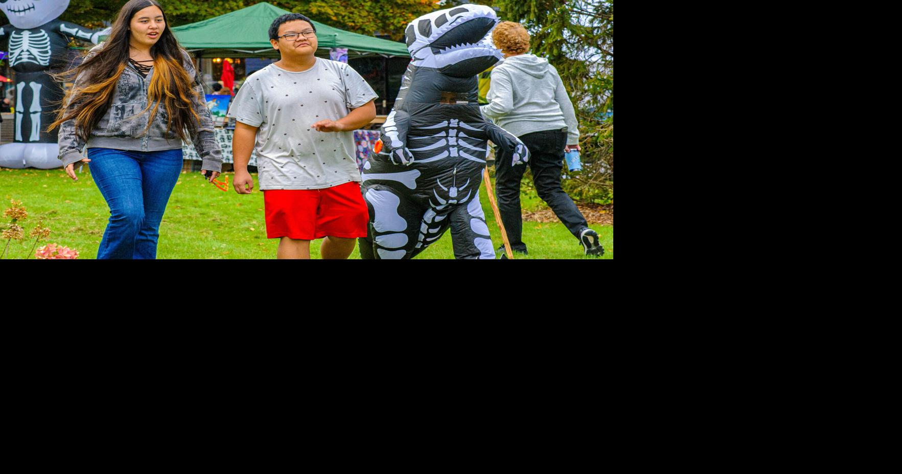 Brown Mountain Lights Festival to return to