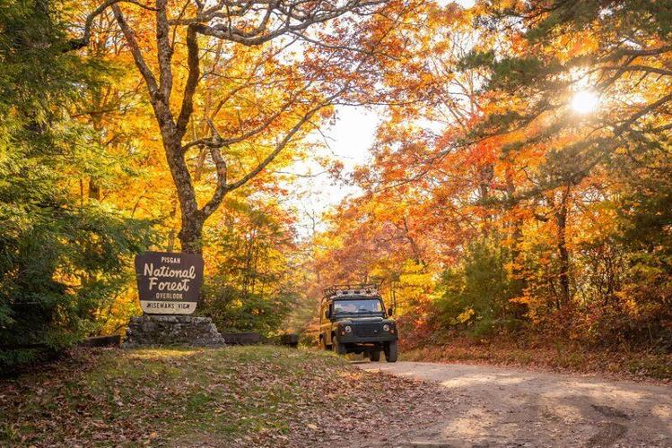 10 Favorite Fall Activities