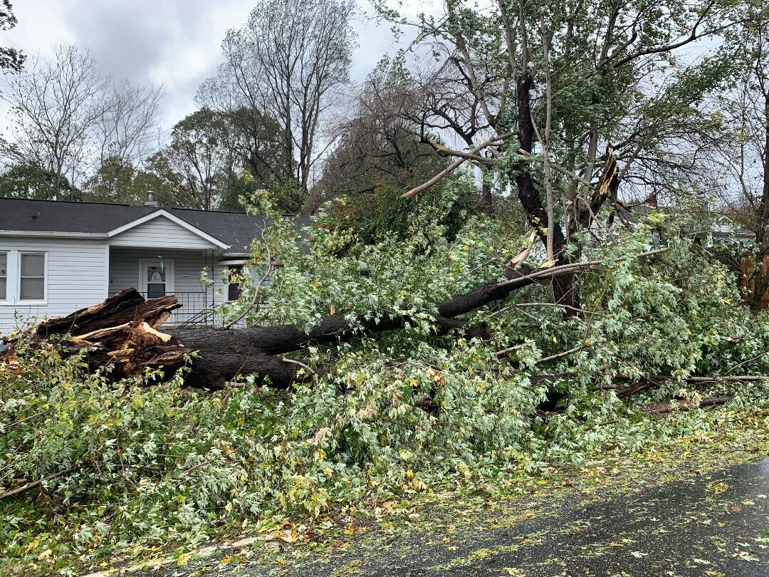 GALLERY: Storm damage in Salem | Featured | morganton.com