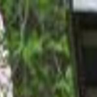 Eleanor S Outhouses Grandpa S Privy And Red Paint Local News