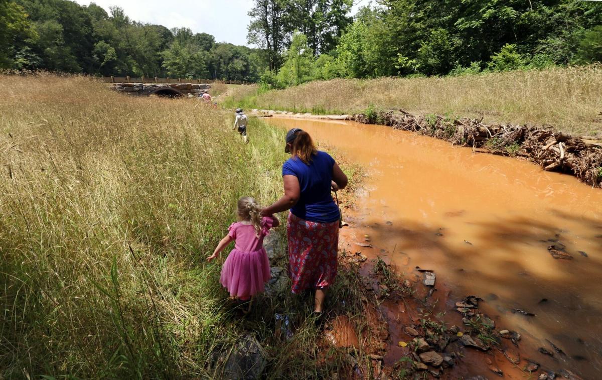 Creek Crawl