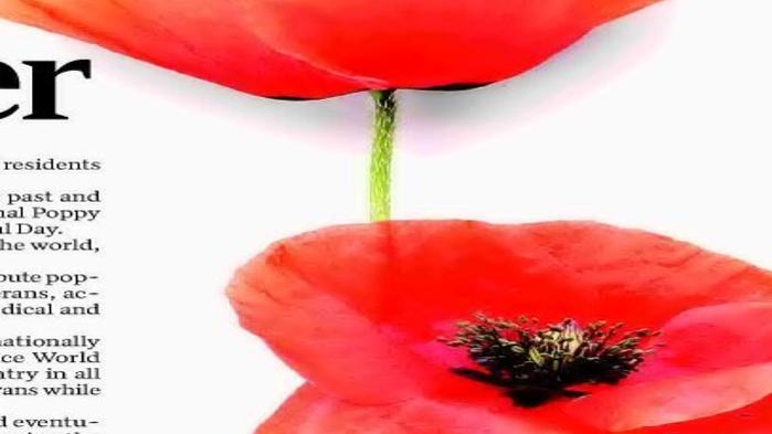 In Flanders Fields: Poppies Remind Us of Those Lost