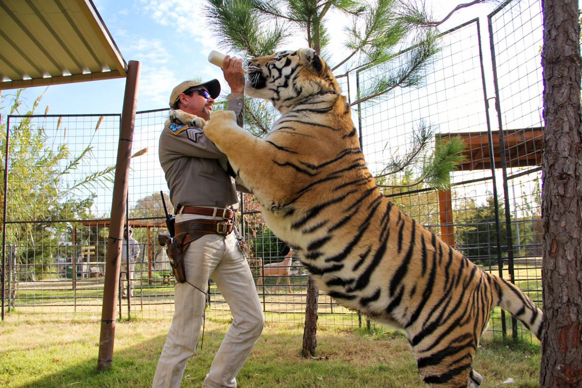 Let S Cast The Inevitable Tiger King Screen Adaptation