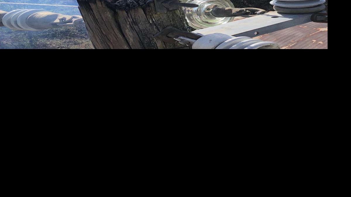 Squirrel causes fire that destroys home Latest Headlines