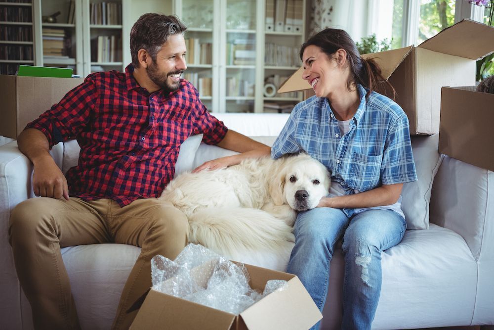 Moving with your furkid? Be sure to plan ahead! (image)