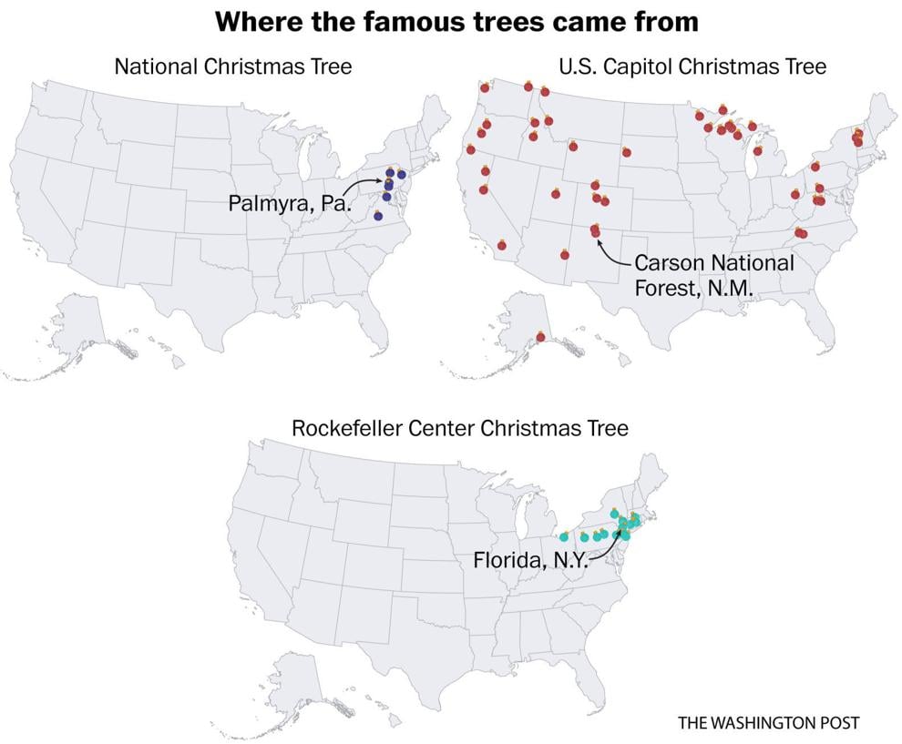 Where do American Christmas trees grow? Trending