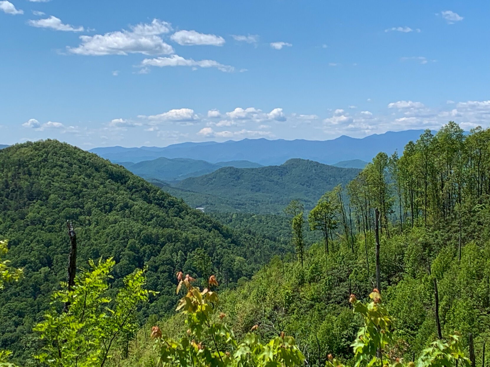 Land trust protects tract along Pinnacle Mountains