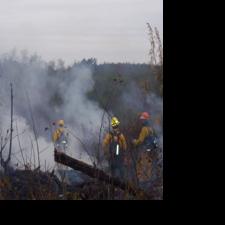 Intentionally-set fire consumes 1.5 acres off Bill Dale Road