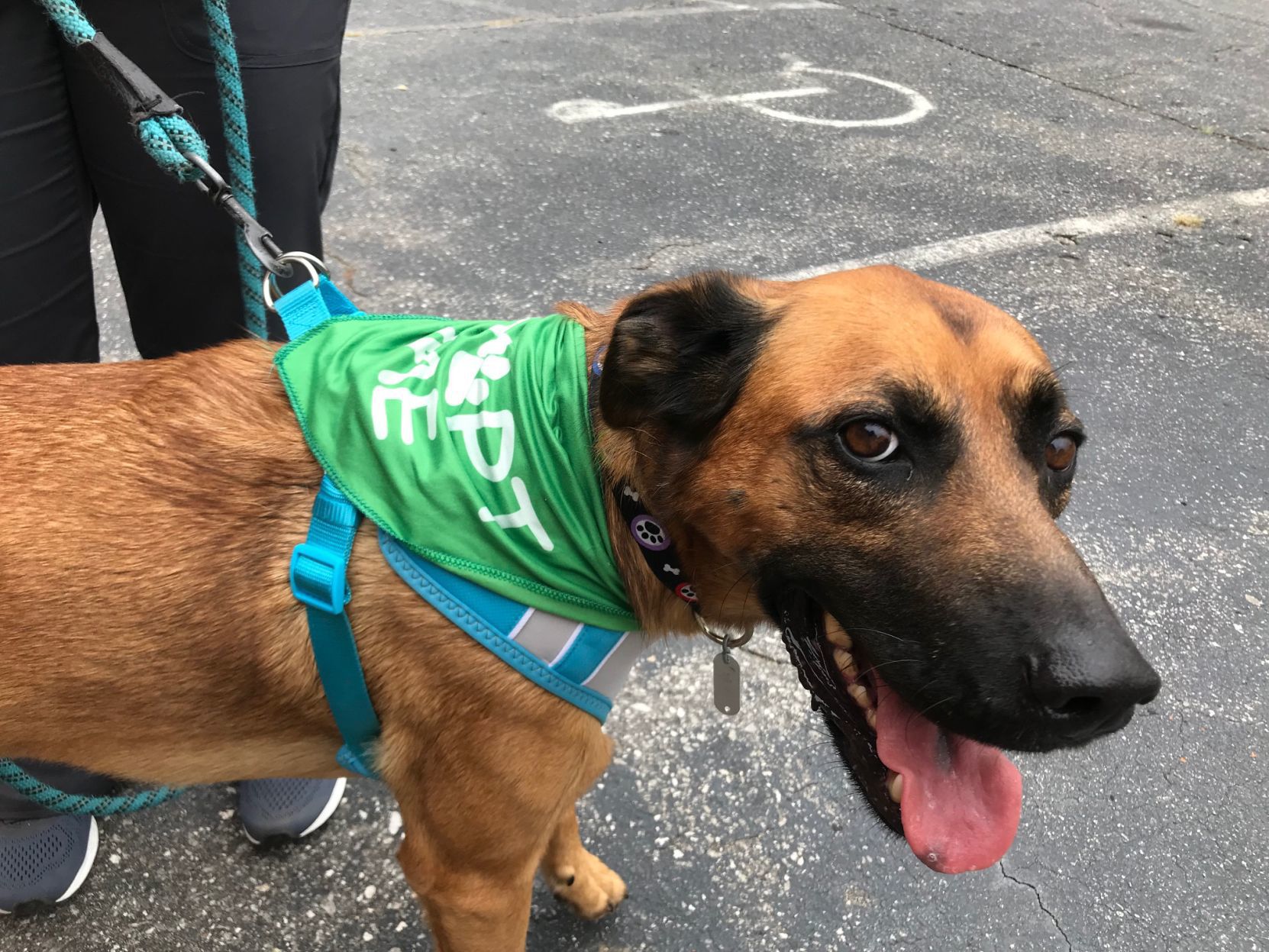 appalachian k9 training center
