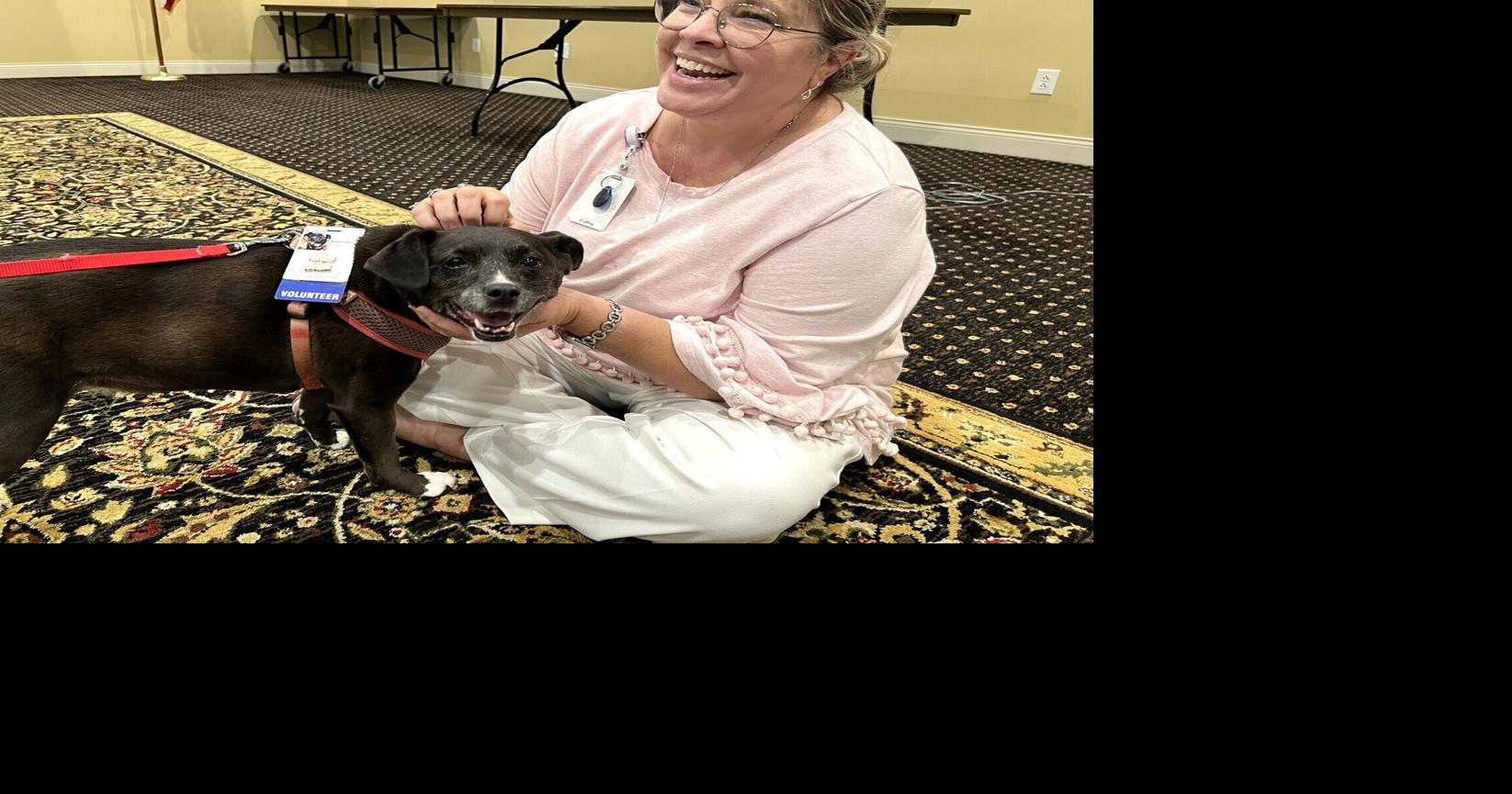 AMOREM seeks volunteers with certified therapy dogs in Caldwell, Burke counties