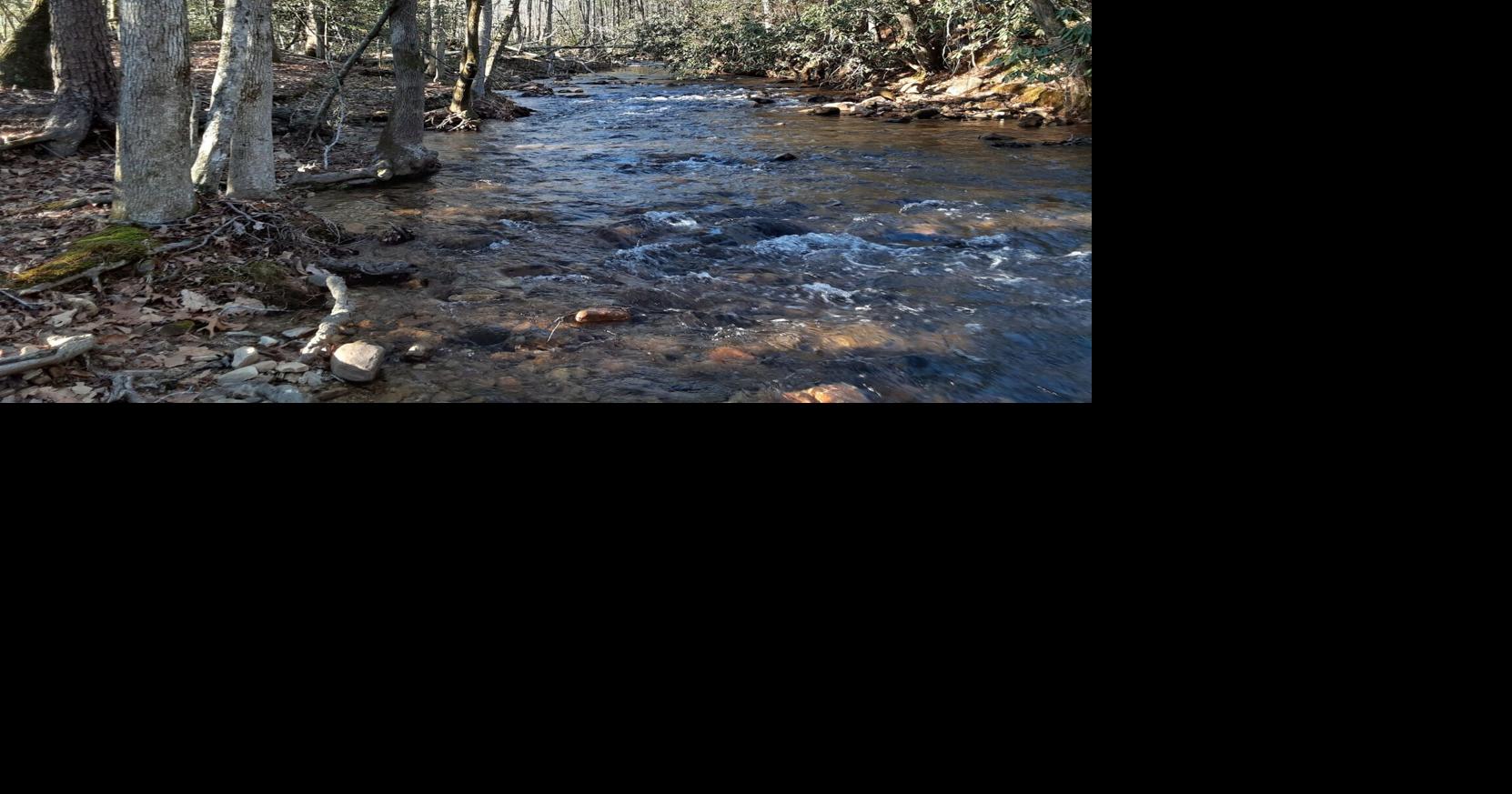 Foothills Conservancy protects 35 additional acres along Paddy’s Creek