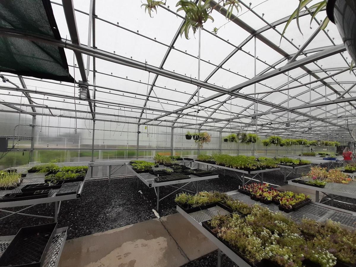 Wpcc Student Donates Nearly 1 000 Plants To Community Garden