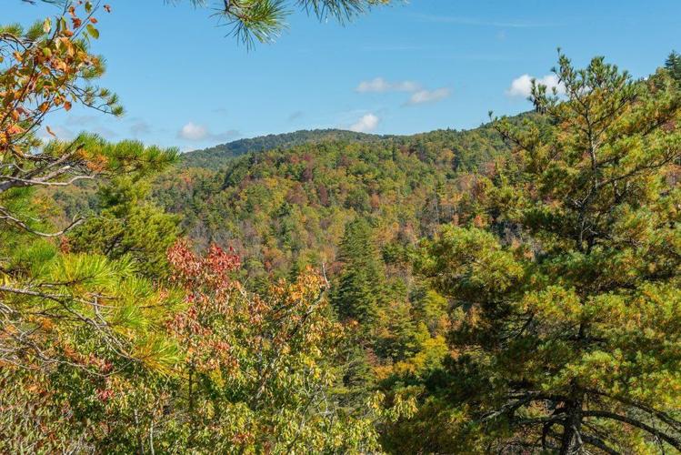 15 Best Hikes in the Blue Ridge Mountains for Fall