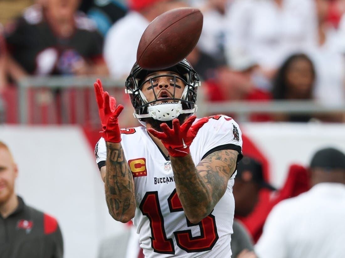 Tampa Bay Buccaneers' Mike Evans grabs a 15-yard touchdown pass