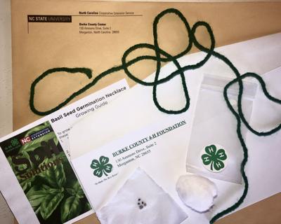 Agency Offers Tips To Celebrate Earth Day Local News Morganton Com