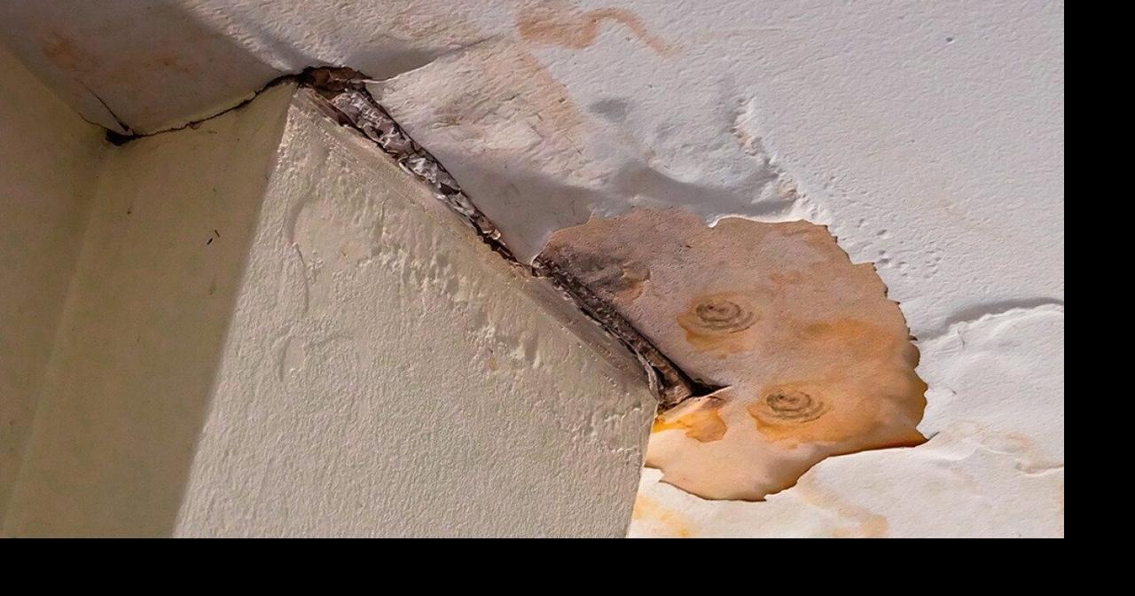 How does mold remediation work in a residential property?