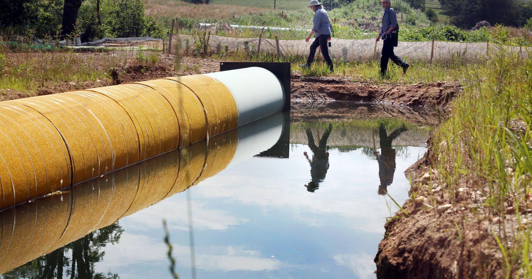 NC Democrats tell FERC to deny Mountain Valley extension - Vimarsana News