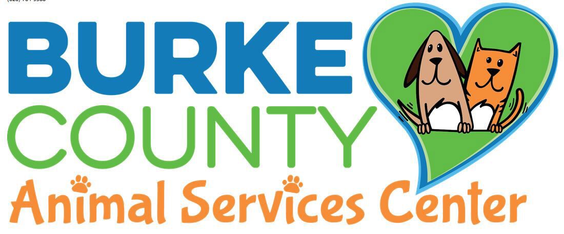 Stray dog tests positive for rabies in Burke