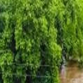 Flash Flood Watch issued for Burke, surrounding counties ...