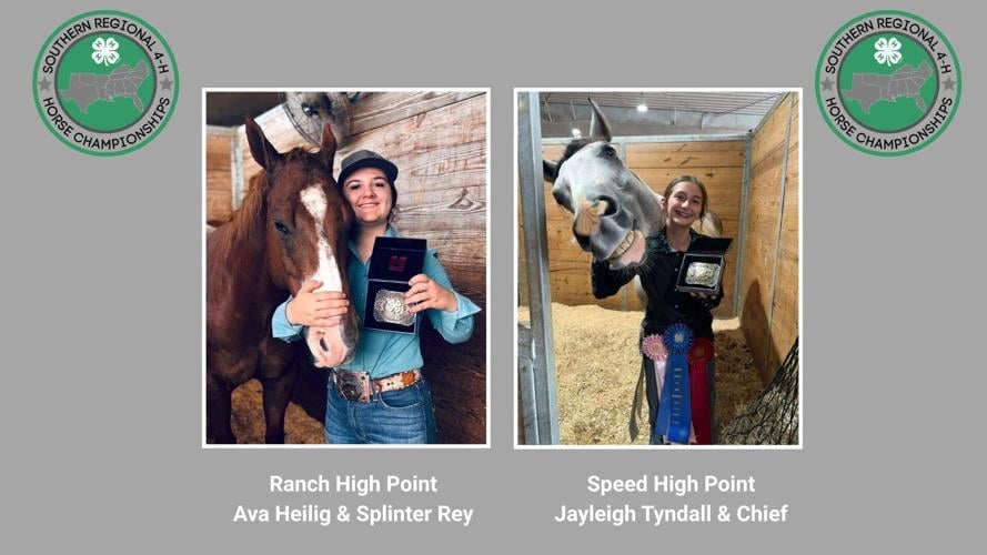 NC 4-H’ers Shine with High Points and Class Wins at the 2026 Southern Regionals