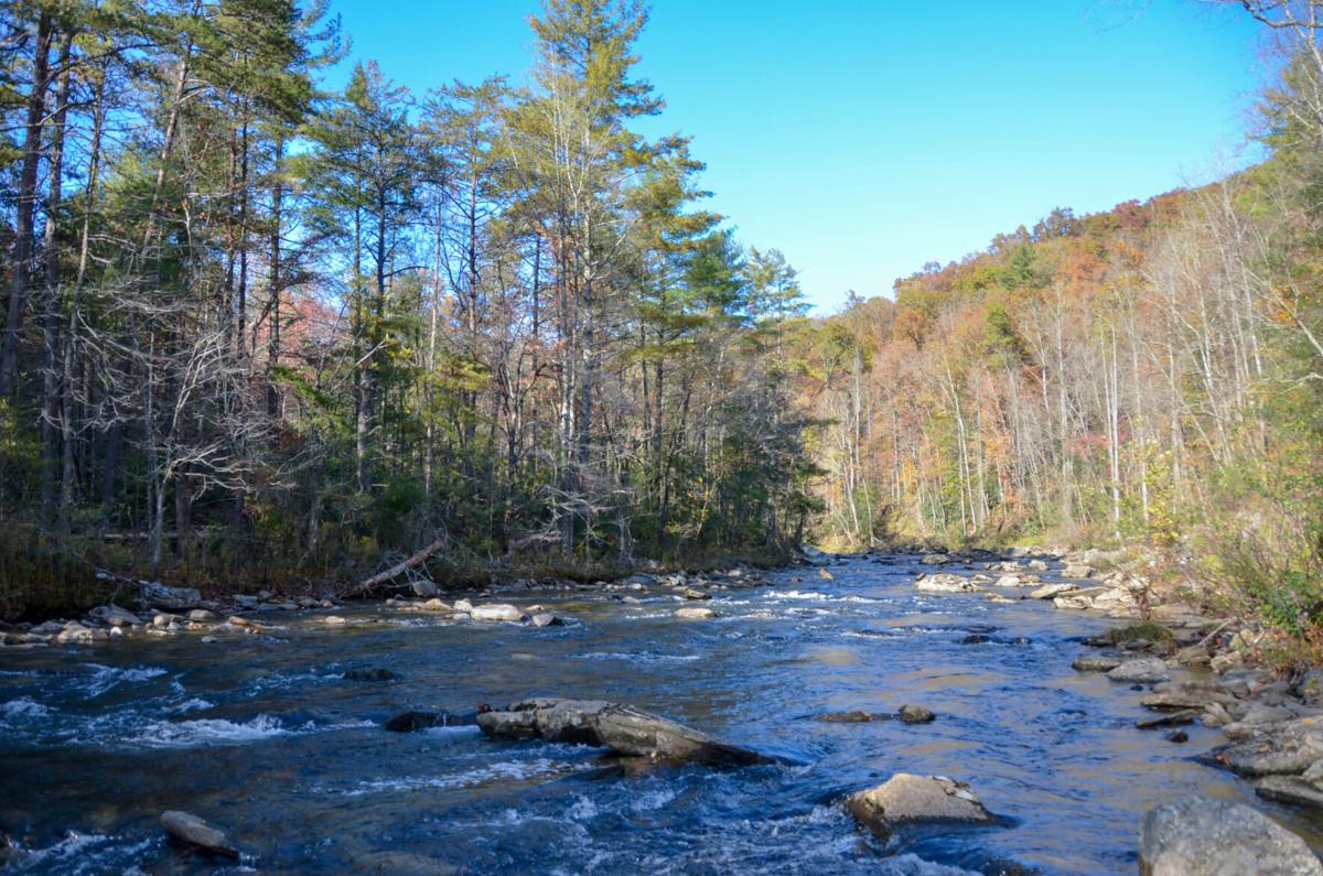 Foothills Conservancy Wilson Creek property photo