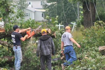 Trees down US 70 Burke County after Helene (copy)