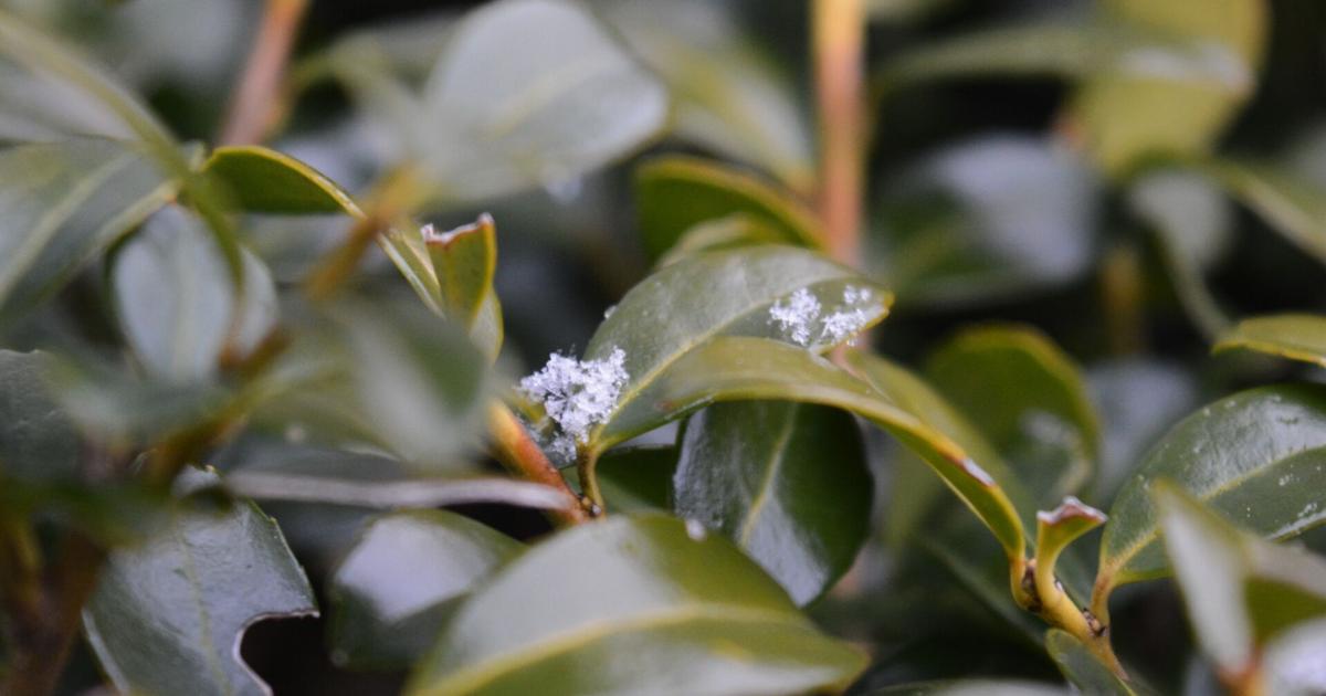 Burke County Public Schools closed Thursday due to icy conditions