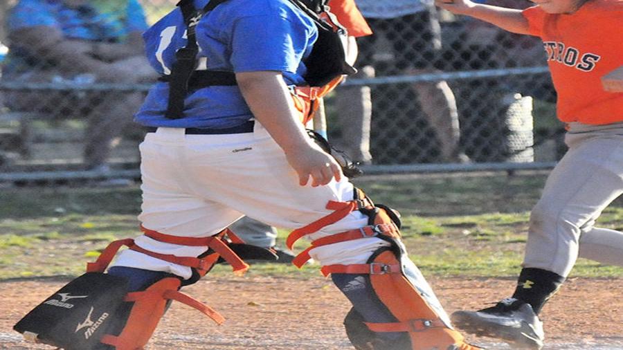 Raleigh Hills Little League Baseball > Home