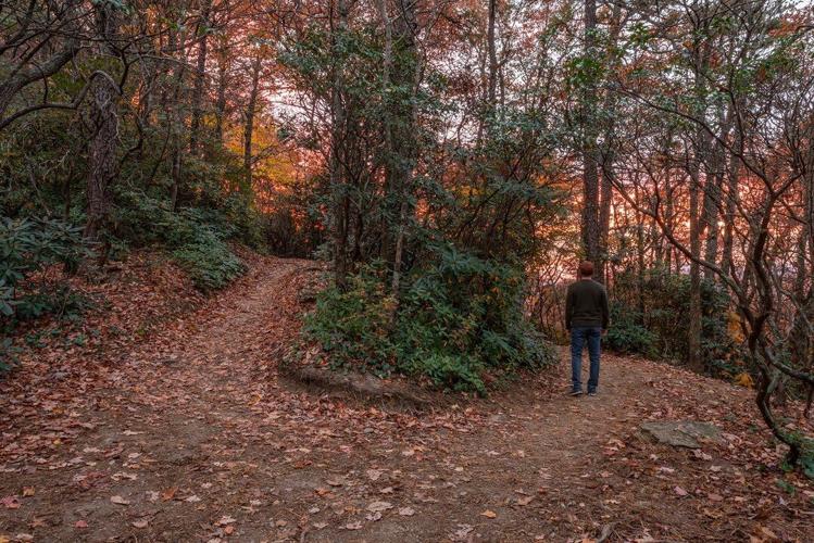 15 Best Hikes in the Blue Ridge Mountains for Fall