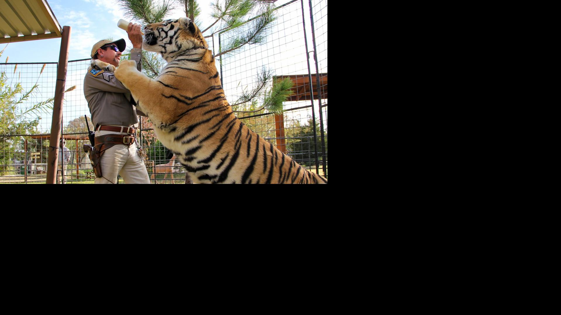 Let S Cast The Inevitable Tiger King Screen Adaptation