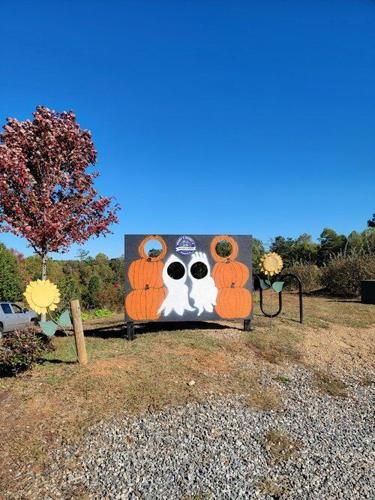 10 Favorite Fall Activities