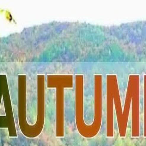 AUTUMN BEAUTY