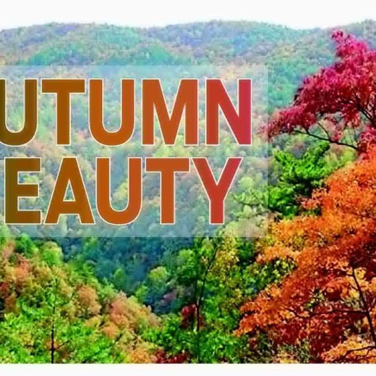 AUTUMN BEAUTY