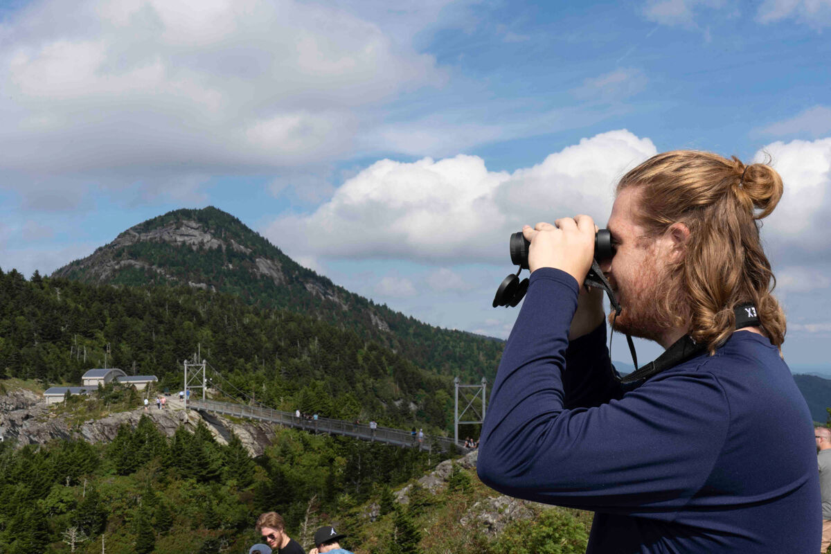 Hawk Watch to return to Grandfather Mountain in September picture