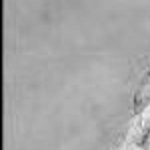 Evans Funeral Home Lenoir Obituaries Homemade Ftempo