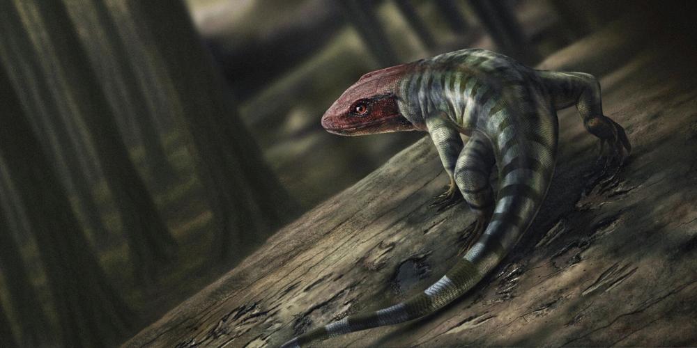 Oldest Reptile Footprints