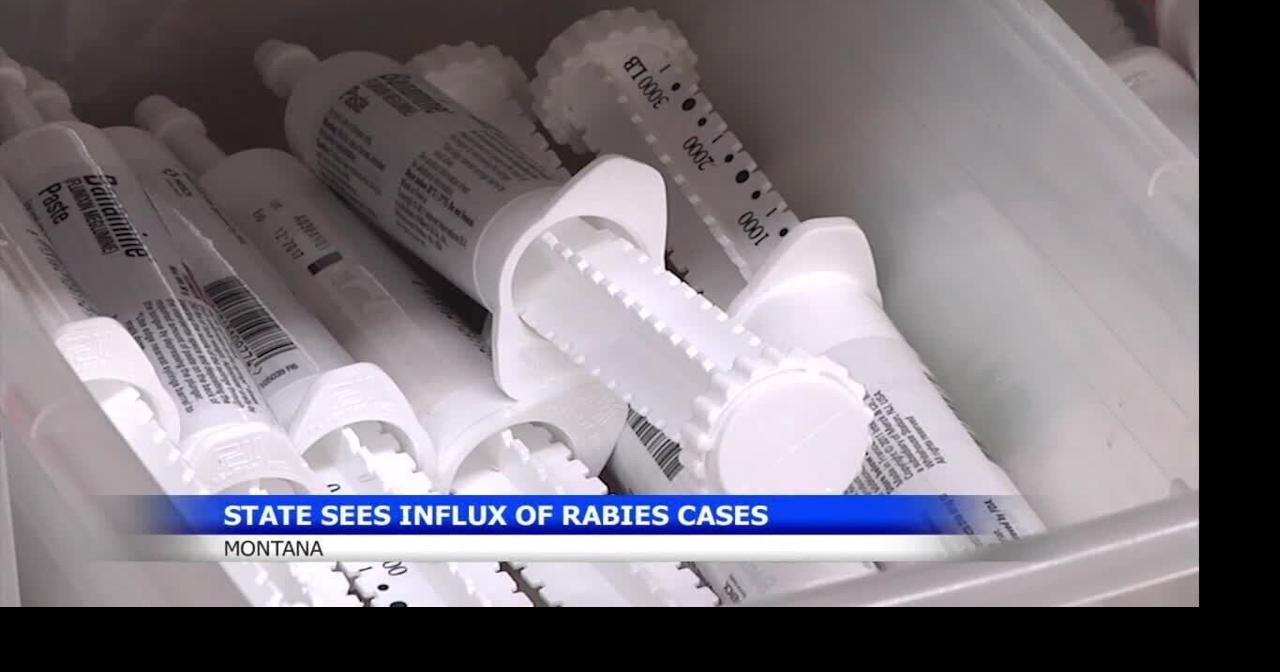 Importance of vaccinating pets against rabies in Montana