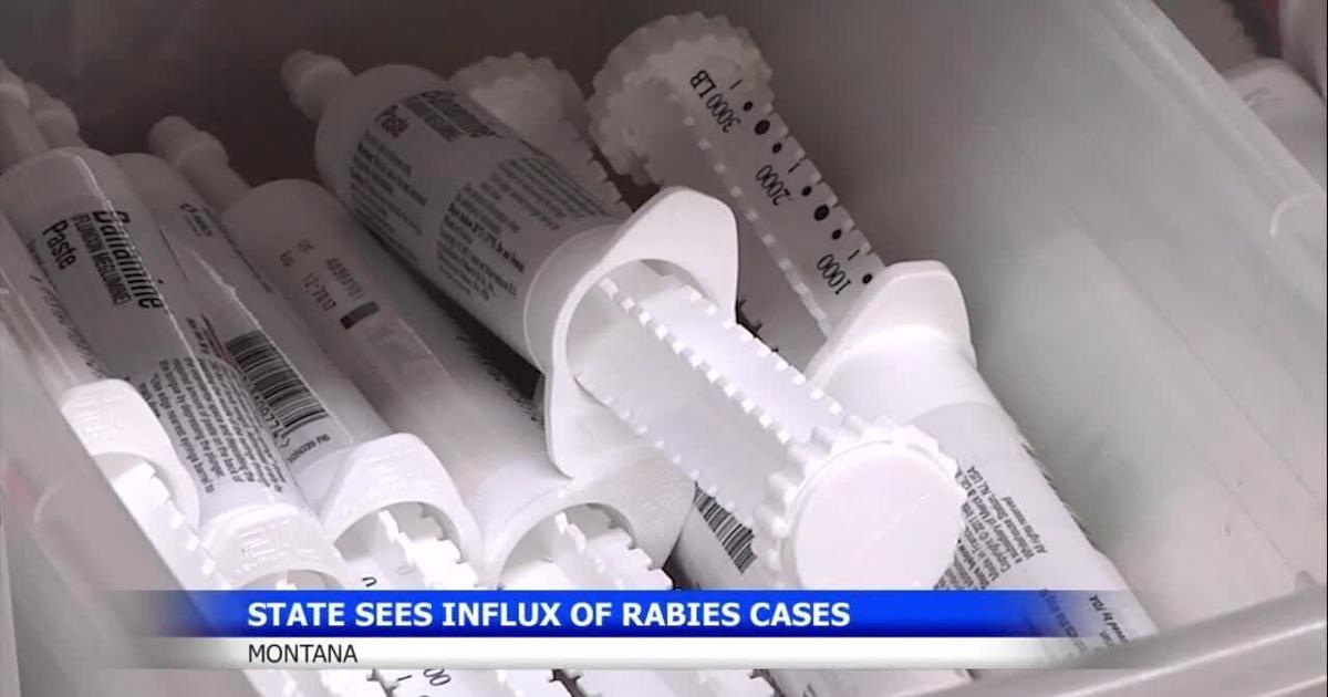 Importance of vaccinating pets against rabies in Montana